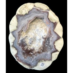 Thunderegg / USA / Buchanan Ranch