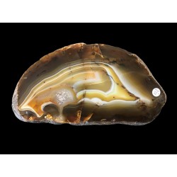 Agate / Argentine / Rivière Noire