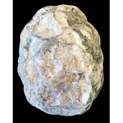 Lithophyse / Etats-Unis / Buchanan Ranch