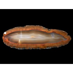 Agate /  Brésil / Piranha