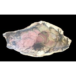 Jaspe / Etats-Unis / Morrisonite