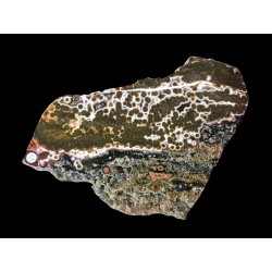 Jasper / Madagascar / Ocean Jasper