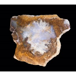 Agate / Etats-Unis / Sagenite