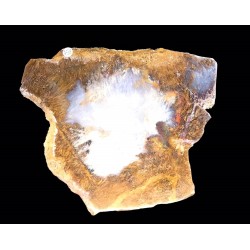 Agate / Etats-Unis / Sagenite