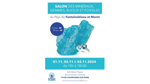 1er salon des Minéraux, Gemmes, Bijoux et Fossiles du pays de Fontainebleau