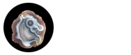 Pareidolia Unica